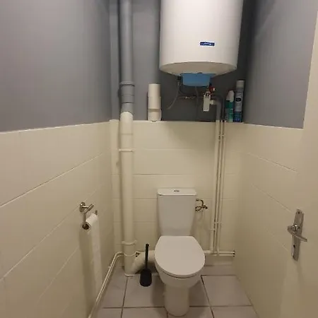 Le Charme De La Verriere Lägenhet Thiers